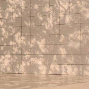 Meet your Posher, Jennilee